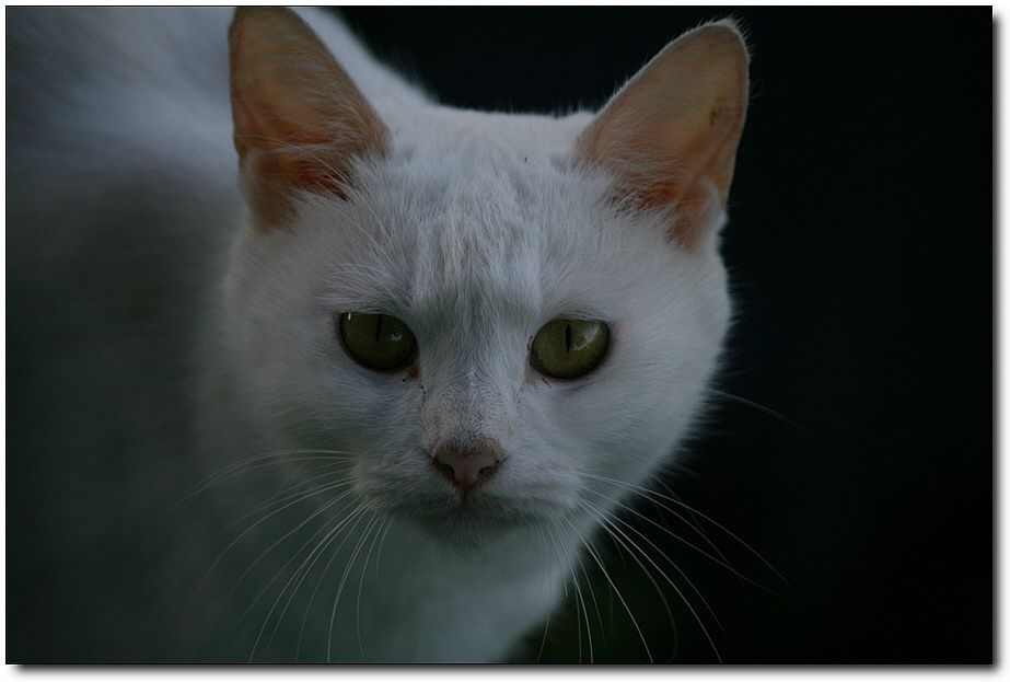 7�������� 4430.jpg