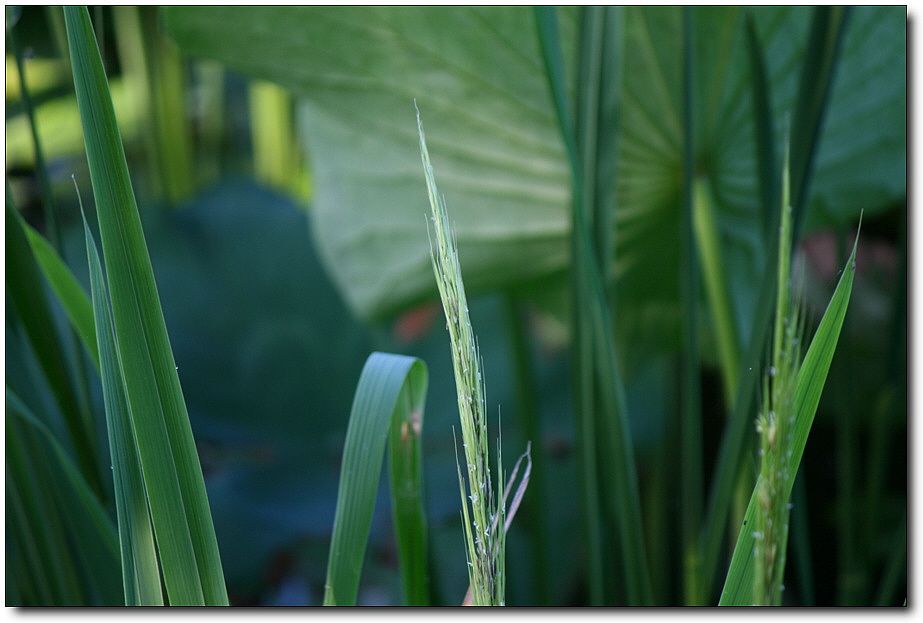 7�������� 4501.jpg