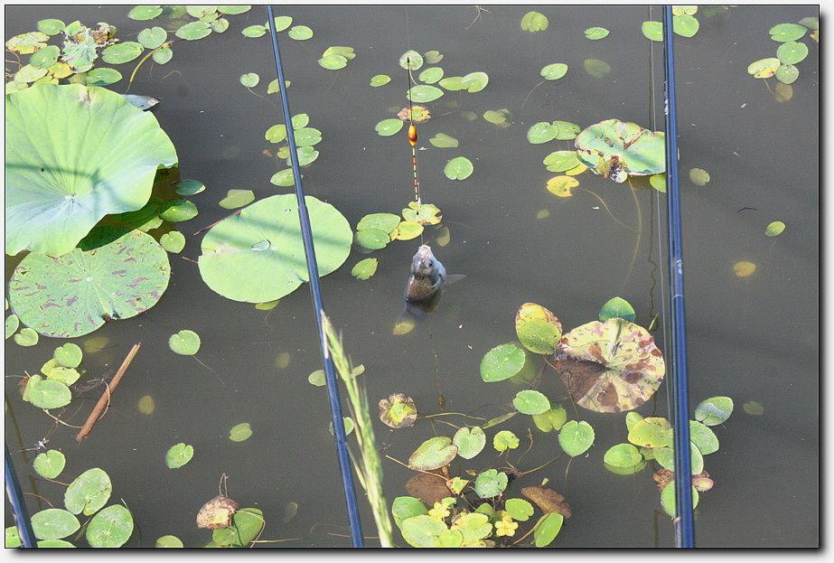 7�������� 4836.jpg