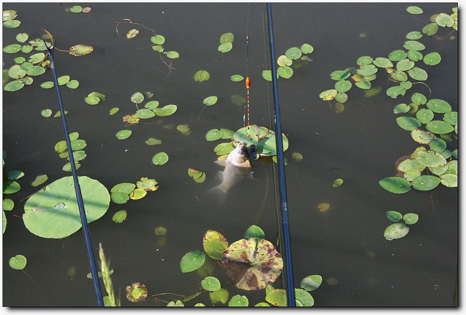 7�������� 4840.jpg