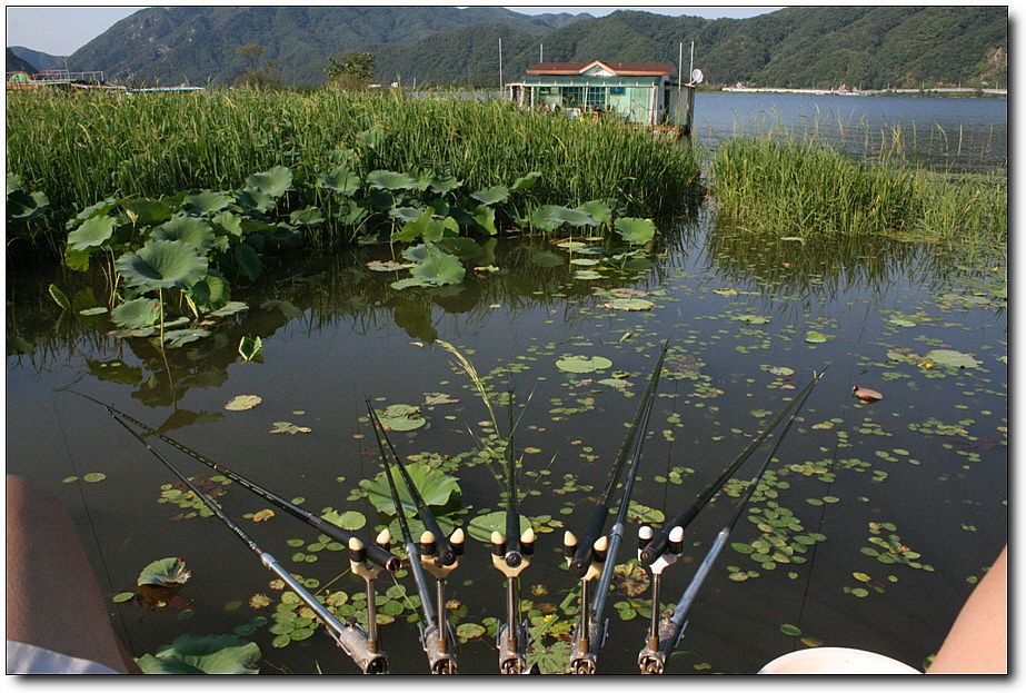 7�������� 4843.jpg