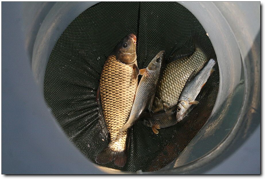 7�������� 4852.jpg