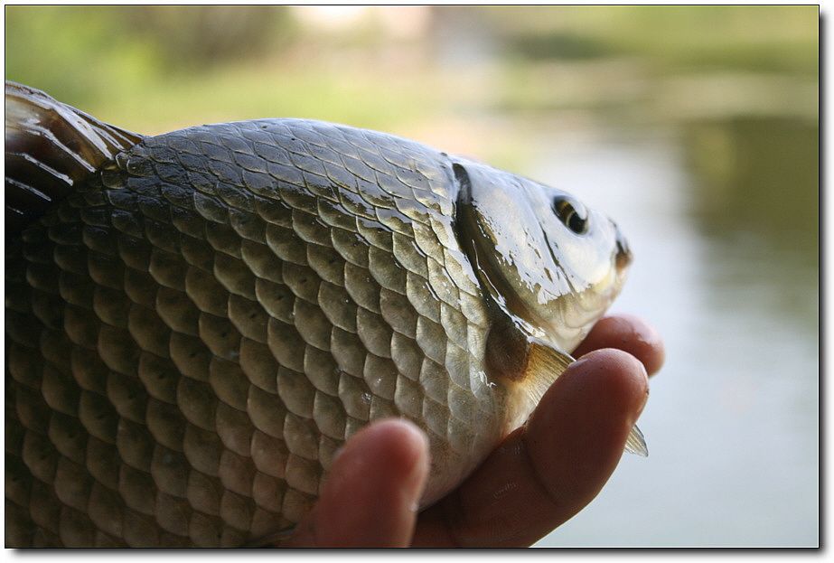 7�������� 4864.jpg