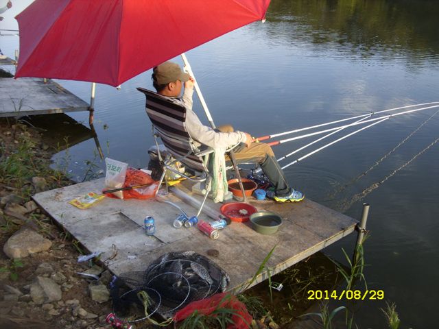 SDC15388.jpg