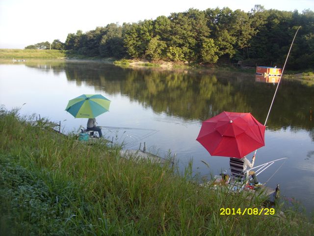 SDC15389.jpg