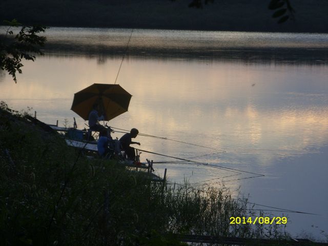 SDC15423.jpg
