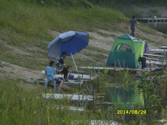 SDC15425.jpg