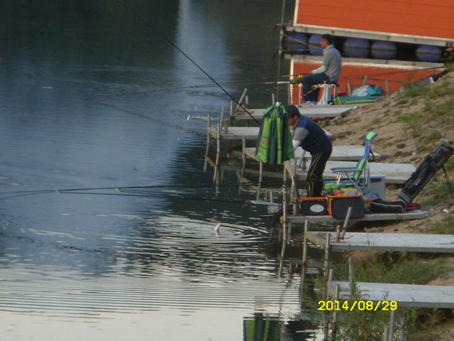 SDC15429.jpg
