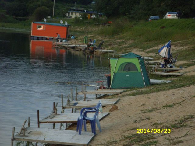 SDC15431.jpg