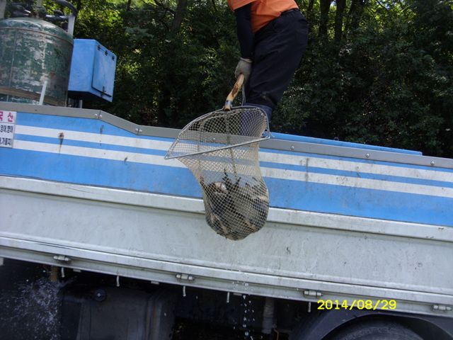 SDC15391.jpg