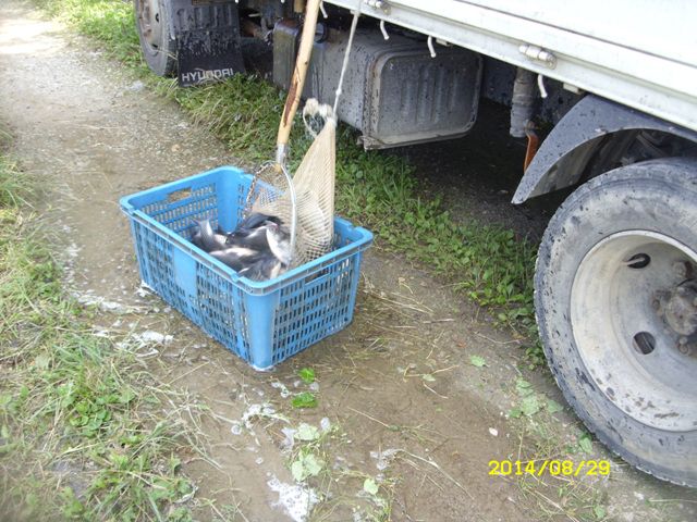 SDC15396.jpg