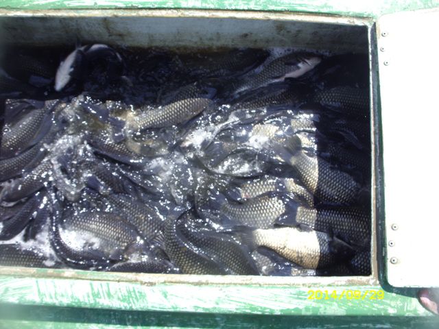 SDC15409.jpg