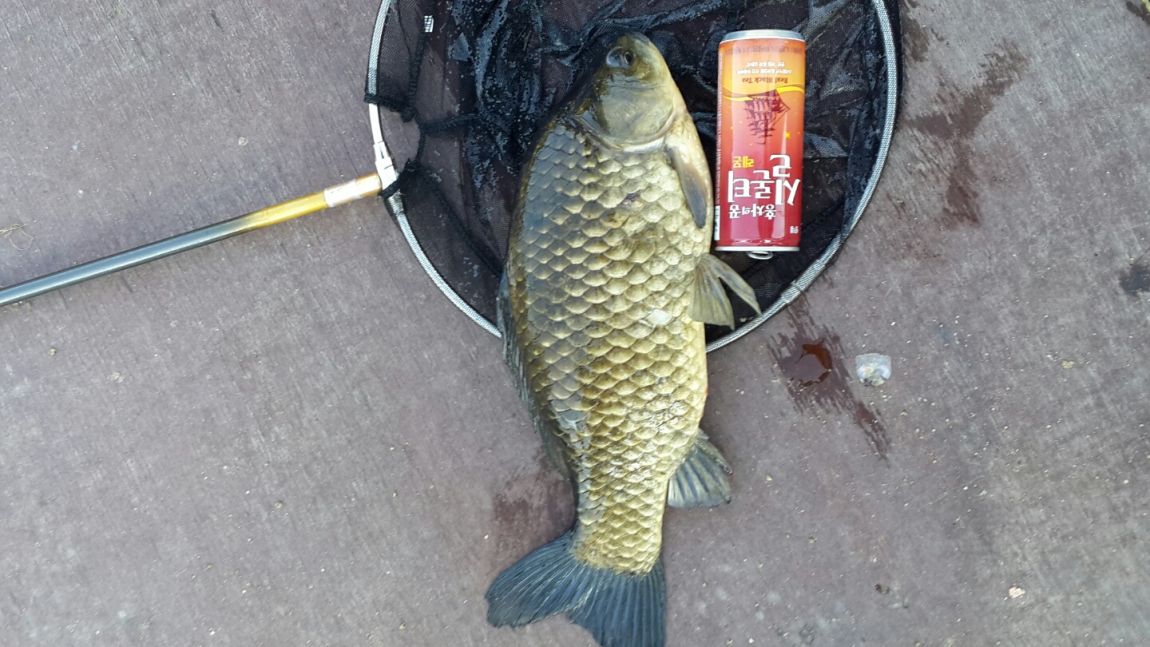 ���� 017.jpg