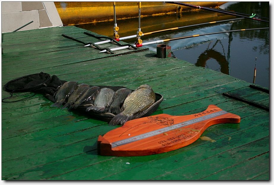 7�������� 5741.jpg