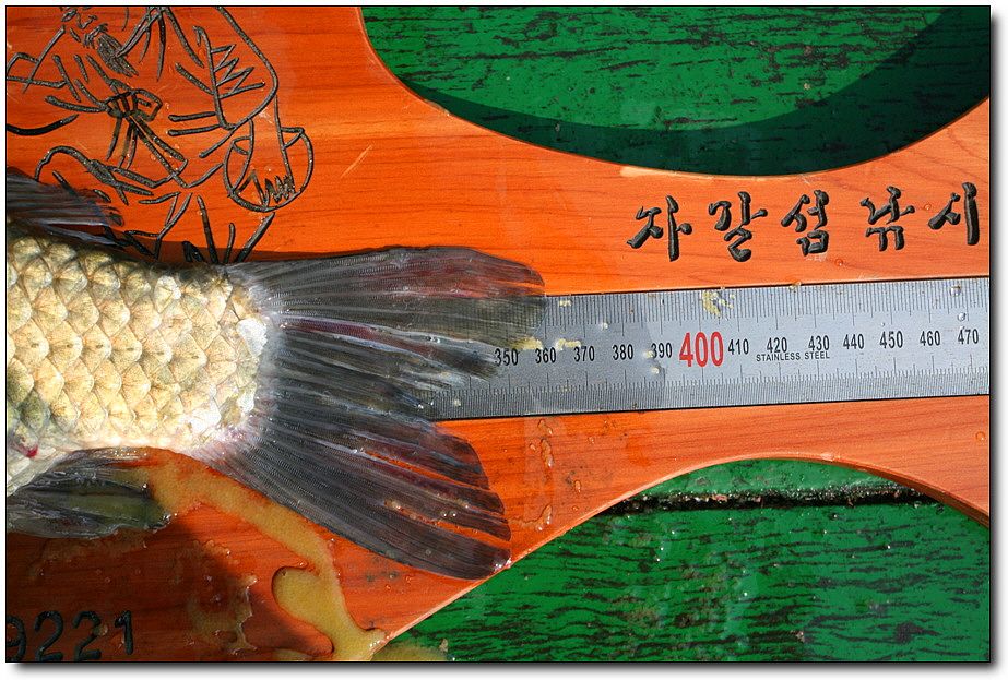 7�������� 5700.jpg