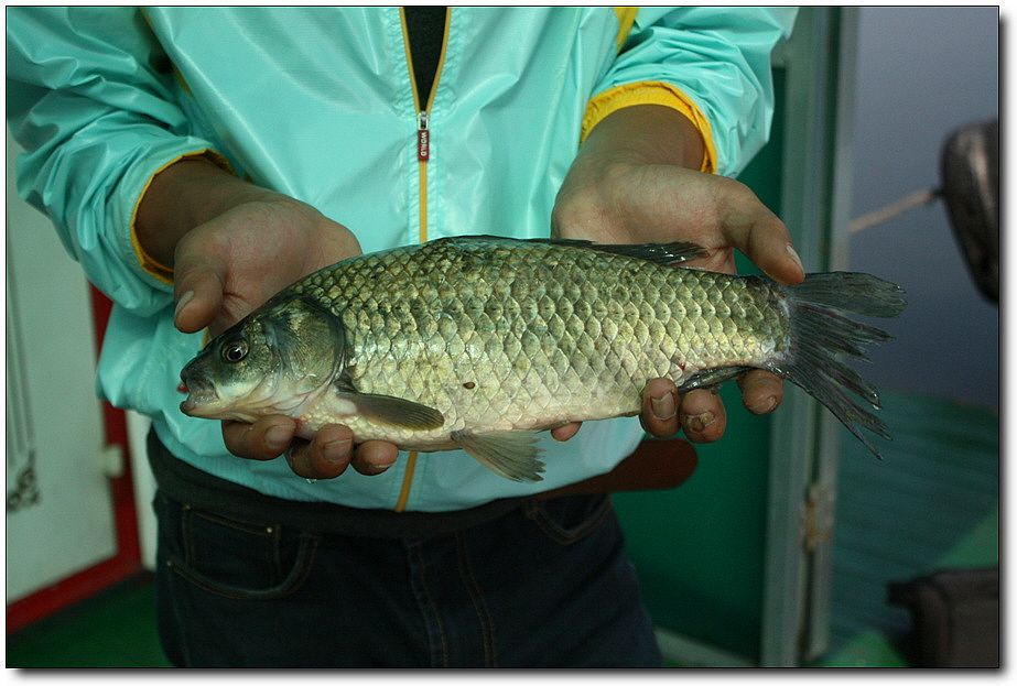 7�������� 5715.jpg