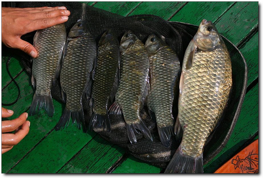 7�������� 5719.jpg