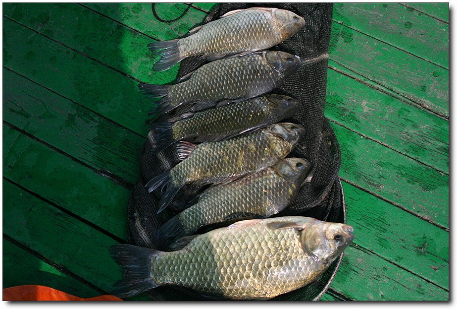 7�������� 5724.jpg