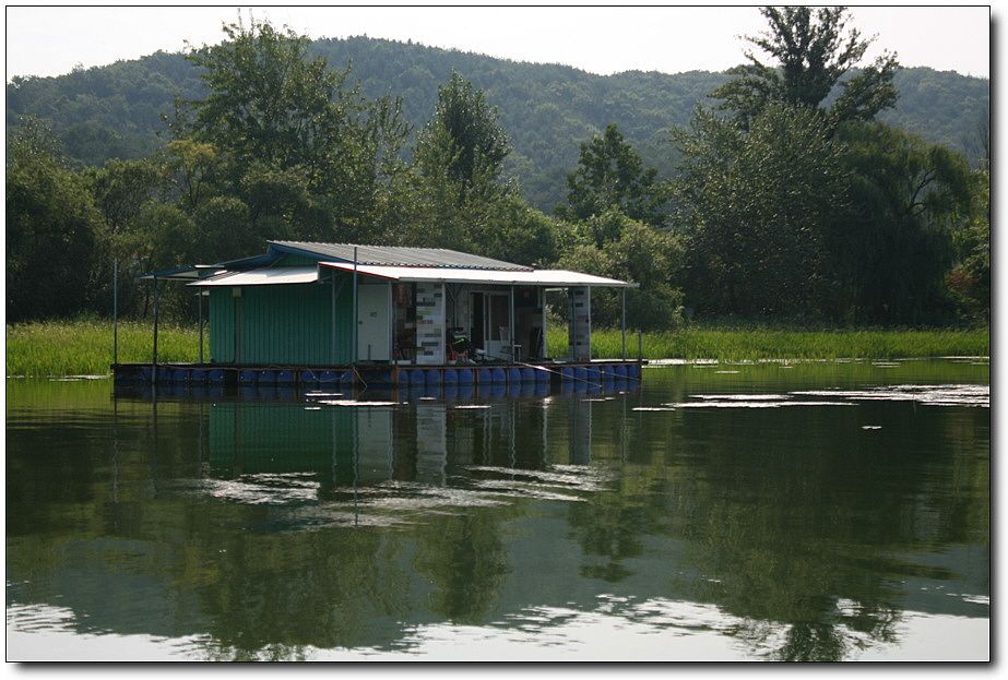 7�������� 5766.jpg