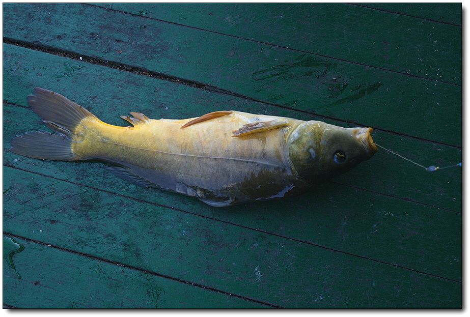 7�������� 5799.jpg