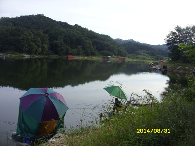 SDC15514.jpg