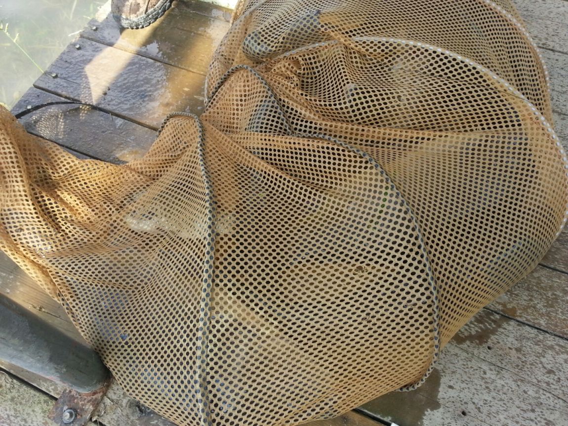 ���� 023.jpg