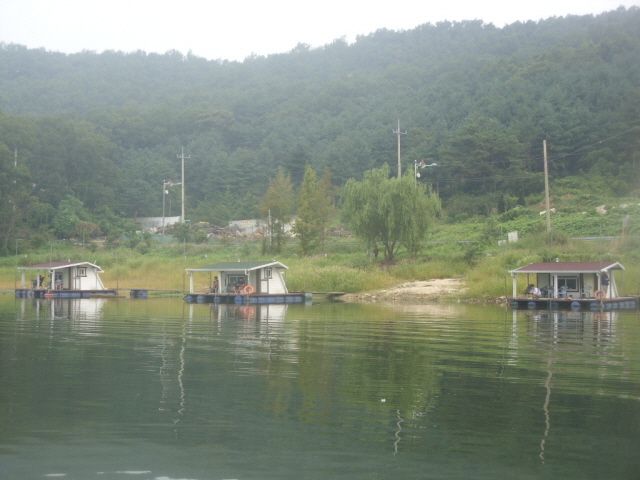 t 001.JPG