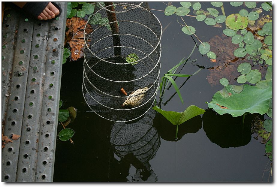 7�������� 5839.jpg