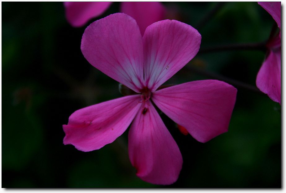 7�������� 5859.jpg