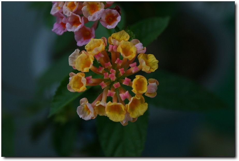 7�������� 5860.jpg