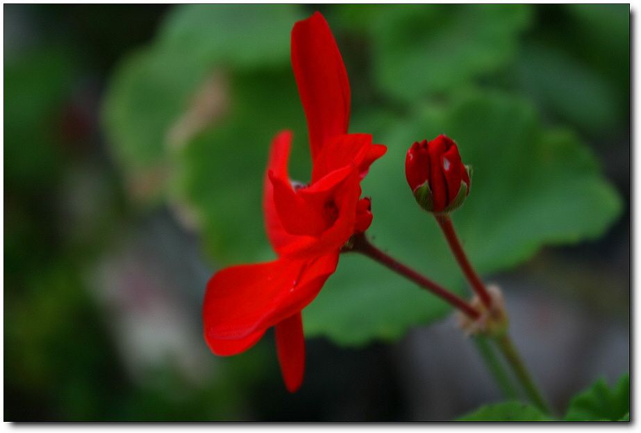 7�������� 5863.jpg