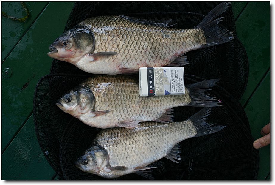 7�������� 5499.jpg