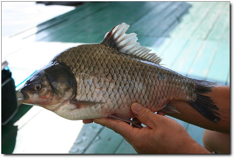 7�������� 5506.jpg