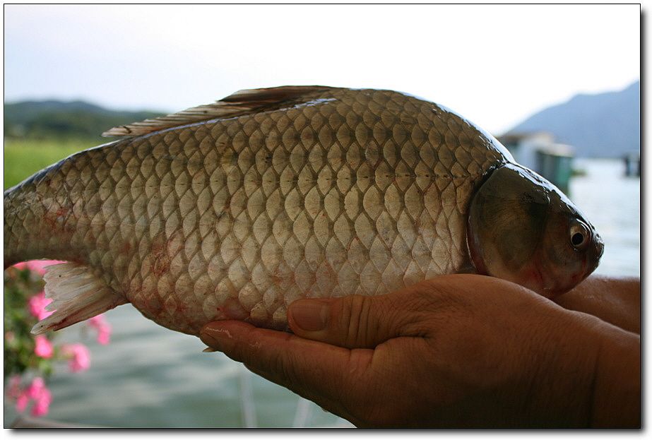 7�������� 5518.jpg