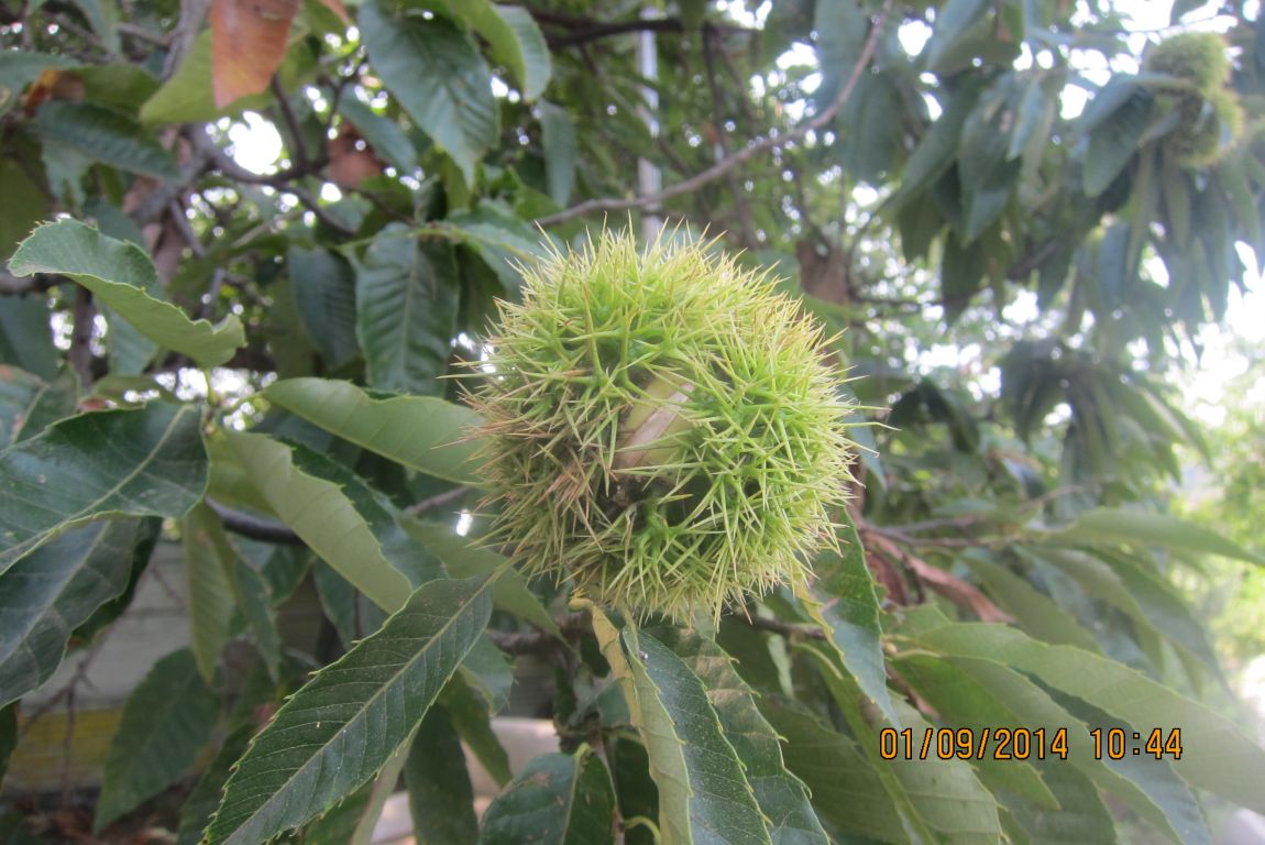 9��1�� 012.JPG