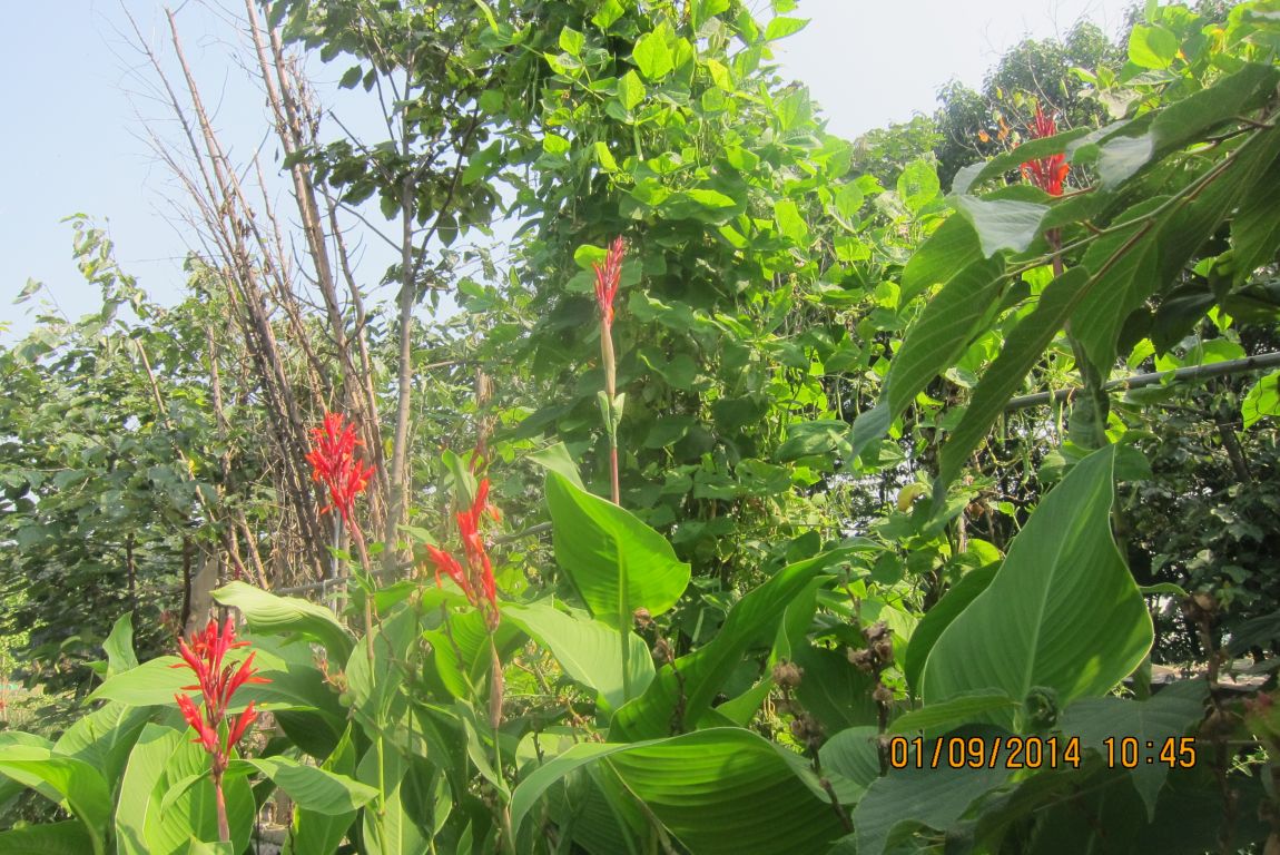 9��1�� 015.JPG