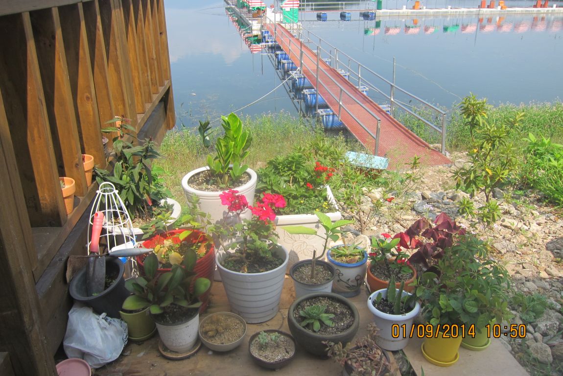 9��1�� 022.JPG