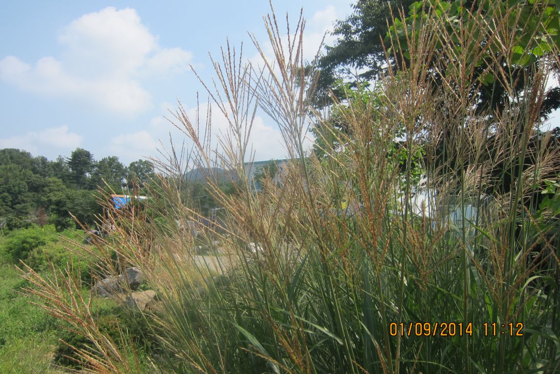 9��1�� 055.JPG