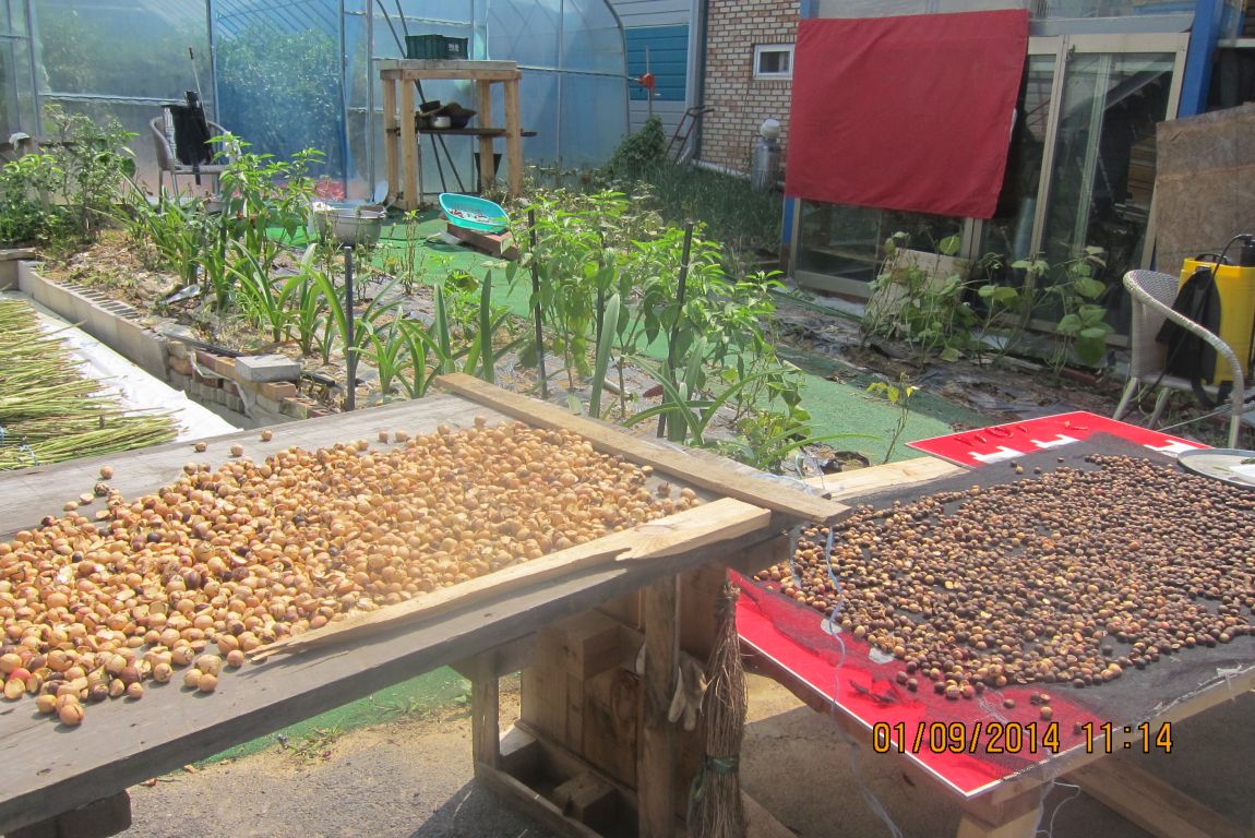 9��1�� 059.JPG