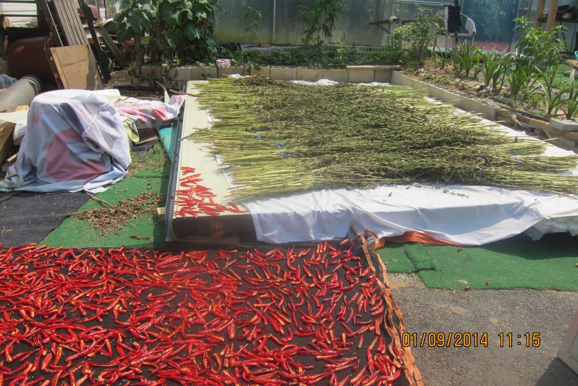 9��1�� 060.JPG