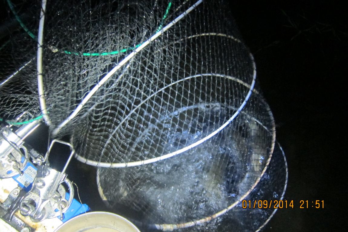 9��2�� 001.JPG