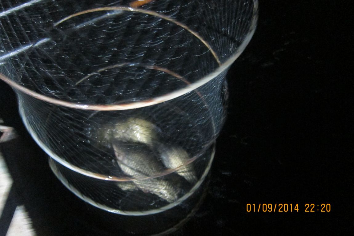 9��2�� 003.JPG