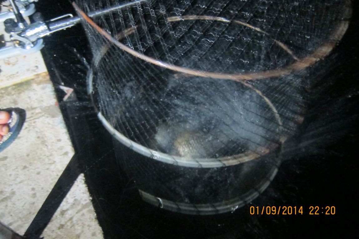 9��2�� 004.JPG