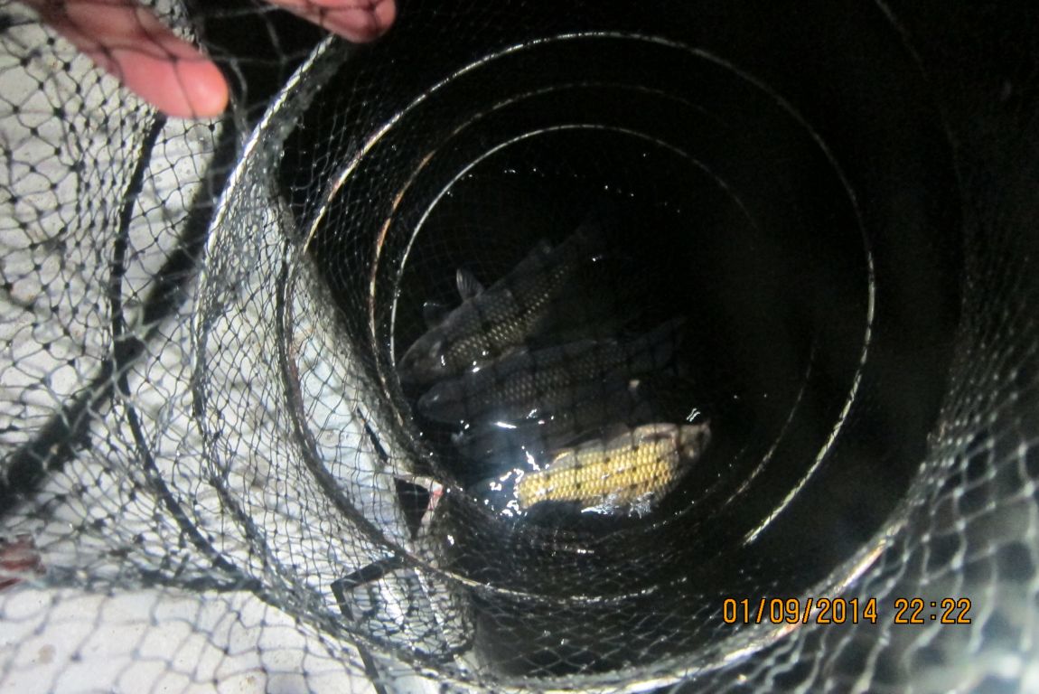 9��2�� 006.JPG