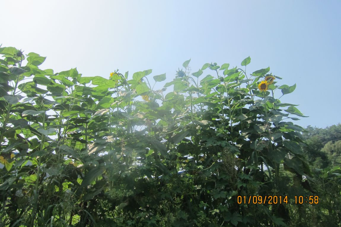 9��1�� 038.JPG