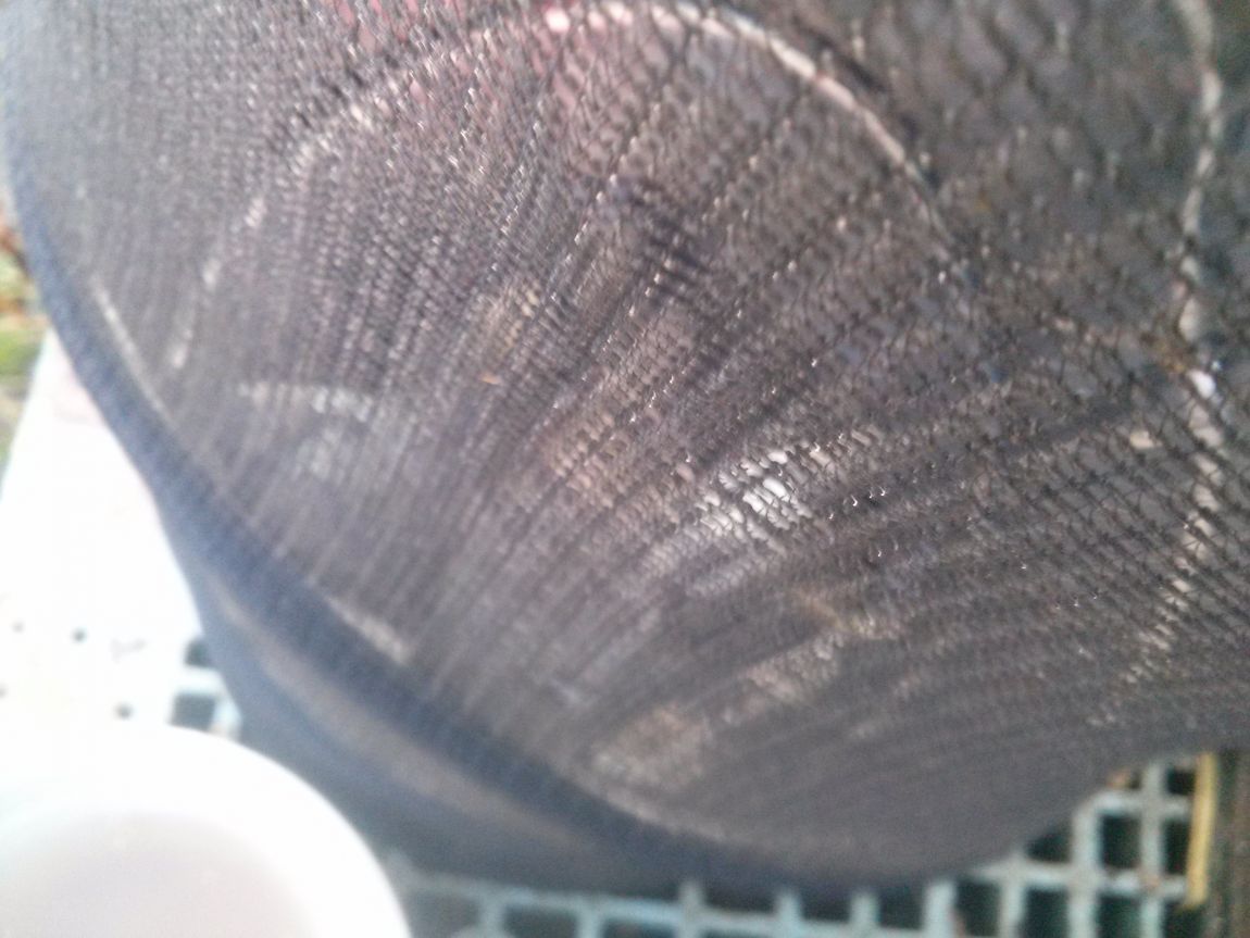 CAM02861.jpg