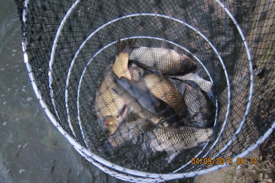 9��3�� 003.JPG