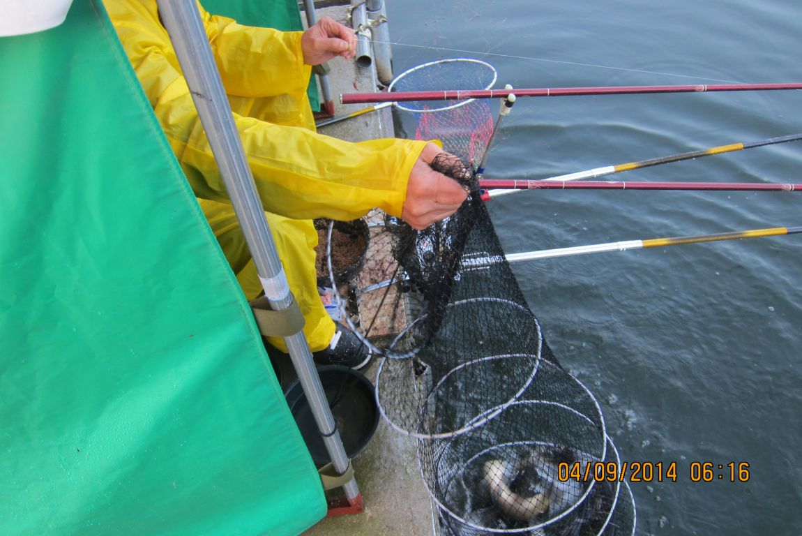 9��3�� 008.JPG