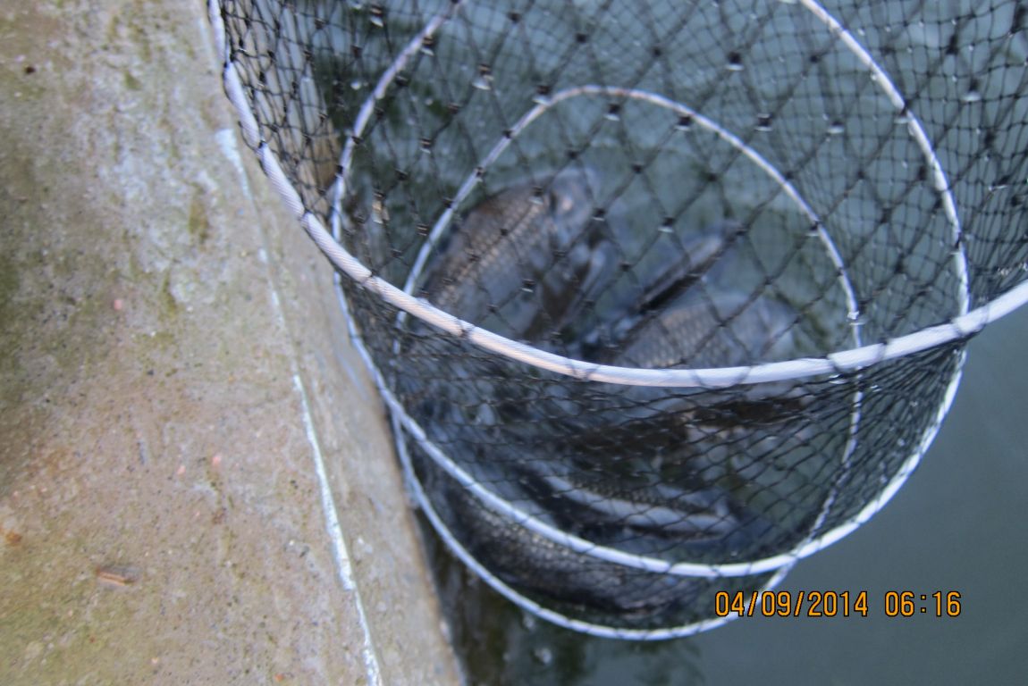 9��3�� 009.JPG