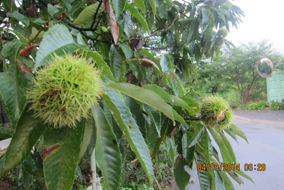 9��3�� 018.JPG